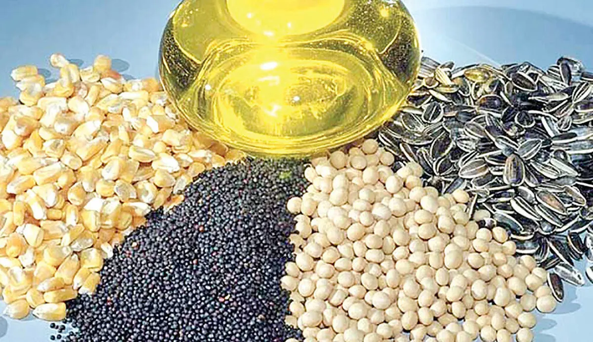 افشاگری انجمن روغن‌کشی: وزیر جهاد کشاورزی زیر سوال رفت؟