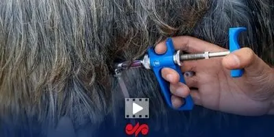 خیزش گرد و غبار و طوفان شن در راه ایران؟ پیش‌بینی عجیب هواشناسی برای 5 روز آینده