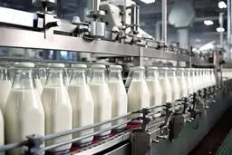 دلار، لبنیات را می‌بلعد؟ حذف ارز ترجیحی، فاجعه یا فرصت؟