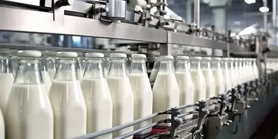 چشم‌انداز فاجعه‌بار لبنیات: حذف ارز ترجیحی، بحران دامنگیر تولیدکنندگان!