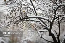 هشدار قرمز: طوفان برفی بی‌سابقه و کولاک مرگبار در راه ایران!