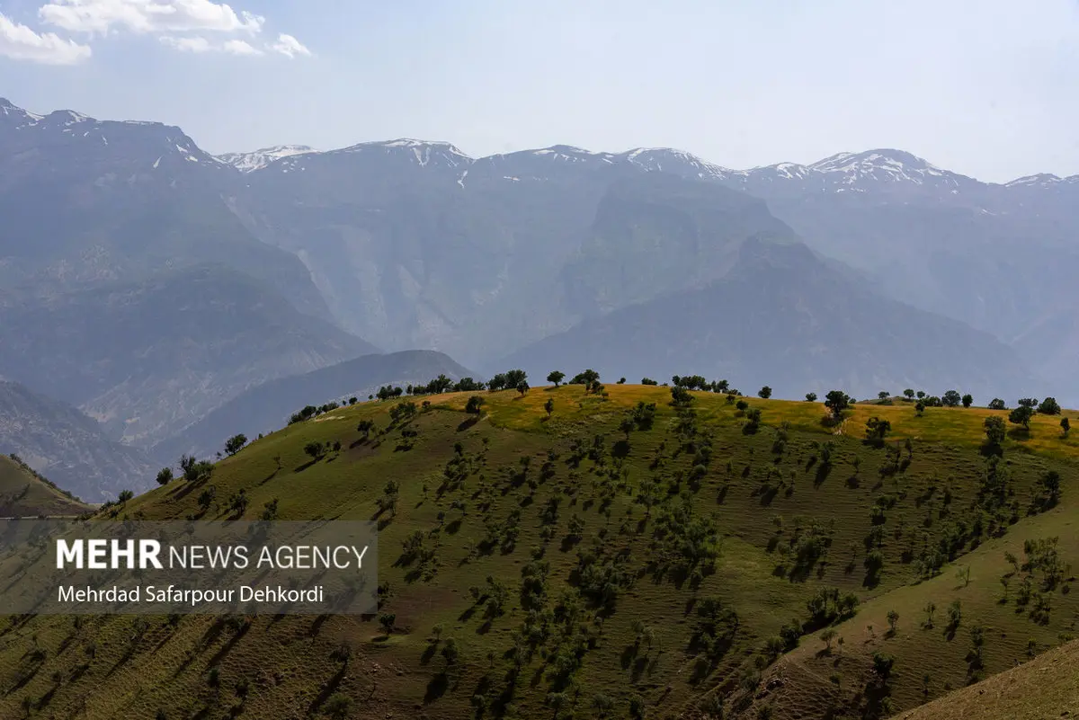 احیای خاک زاگرس: آیا ۵۰ درصد درآمد نفتی برای نجات آن کافیست؟