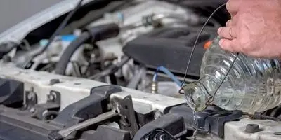 قیمت کفتر حسابی بالا رفت
