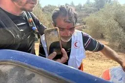 سوئیس صهیونیست‌ها را به آتش کشید: خشونت شهرک‌نشینان در کرانه باختری محکوم شد