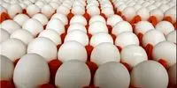 شوک بزرگ در بازار تخم مرغ: قیمت شانه ای به زیر ۳۰۰ هزار تومان سقوط کرد!