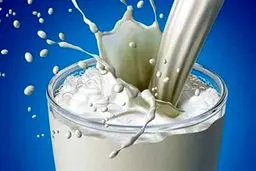 شیر مدارس: ادعای تولید یا قراردادی گمشده؟