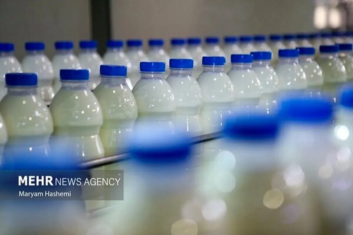 کابوس سفره ایرانی؛ تخم‌مرغ یا لبنیات، کدام فاتح جنون گرانی خواهد شد؟ + جدول شوکه‌کننده قیمت‌ها