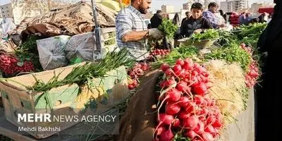 چشم‌ها گرد شد! قیمت تخم مرغ سفید اعلام شد: شوک به سفره مردم