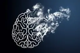 شناسایی یک عامل احتمالیِ زوال عقل
