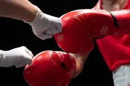 رسوایی در آزادی: فدراسیون بوکس صاحب زمین شد!