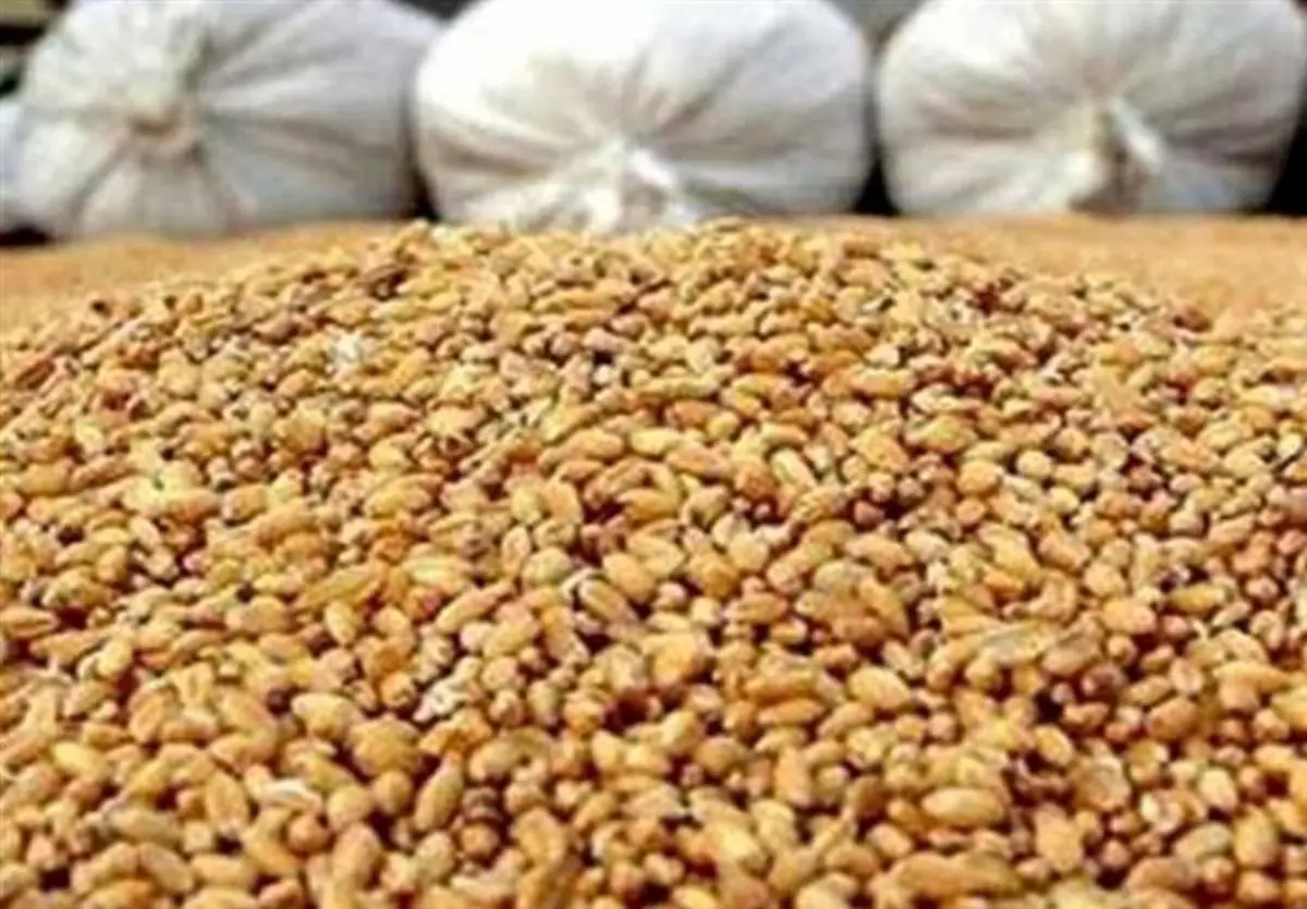 کشف پشت پرده: گشایش ارزی، دام‌ها را هم نجات داد!