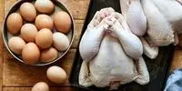 سقوط باورنکردنی قیمت تخم مرغ: شانه به زیر ۳۰۰ هزار تومان رسید!