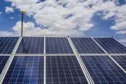 رسوایی ارزی: 'عقب‌ماندگی عجیب' در تخصیص ارز به تجدیدپذیرها فاش شد!