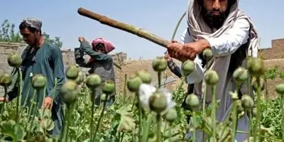 افغانستان در تهران: جنجال مبارزه با مواد مخدر در پایتخت!
