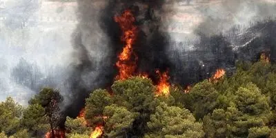 پای این افراد به آتش سوزی جنگل الیت باز شد