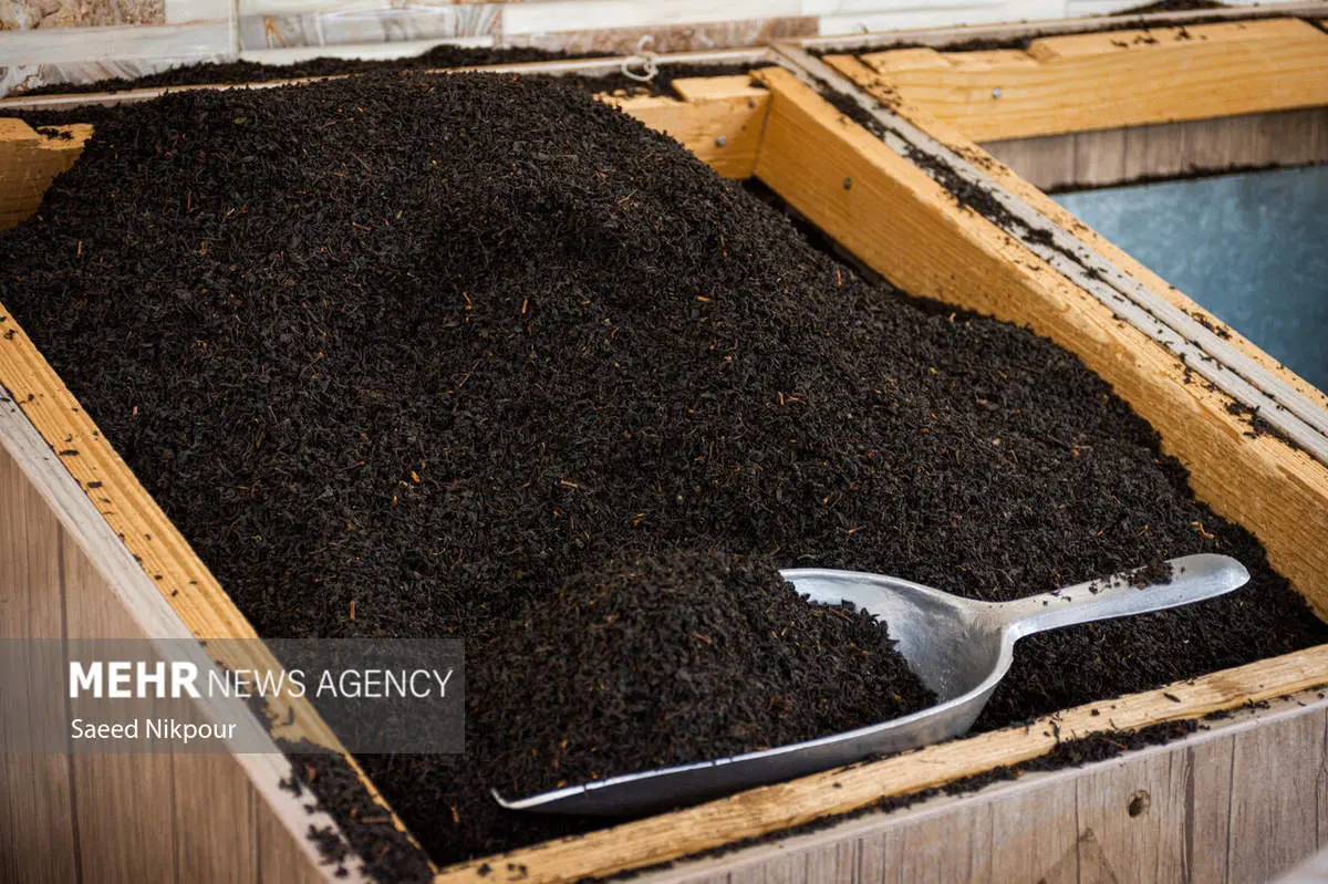 شنبه سورپرایز چای‌خورها! ثبت سفارش از ۱۷ آبان آغاز می‌شود