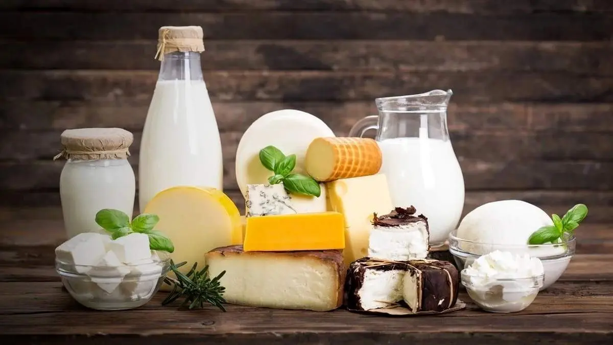لبنیات گران میشود؟ / شعار سال را اجرا کنید