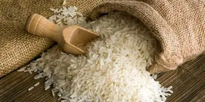 متهمان ردیف اول گرانی برنج رسما مشخص شدند