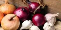 اتفاقی مهم در بازار پیاز از امروز – ۱۷ خرداد