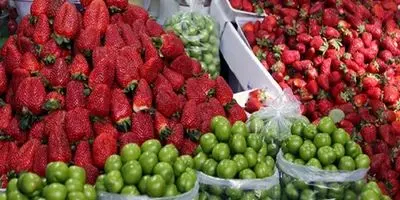 گیلاس شاه میوه‌ها شد + قیمت جدید 
