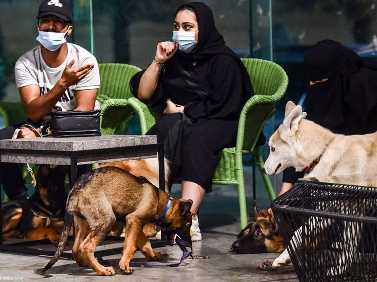 این کافه‌ها پلمب شد