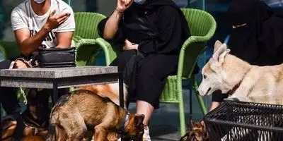 پاساژهای معروف تهران پلمب شدند!