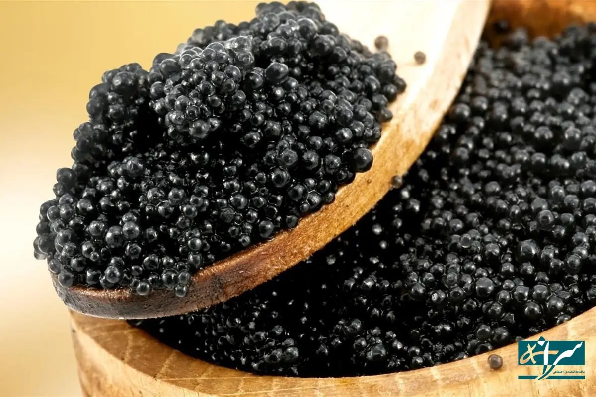 انفجار صادرات مسافری این محصول ایرانی