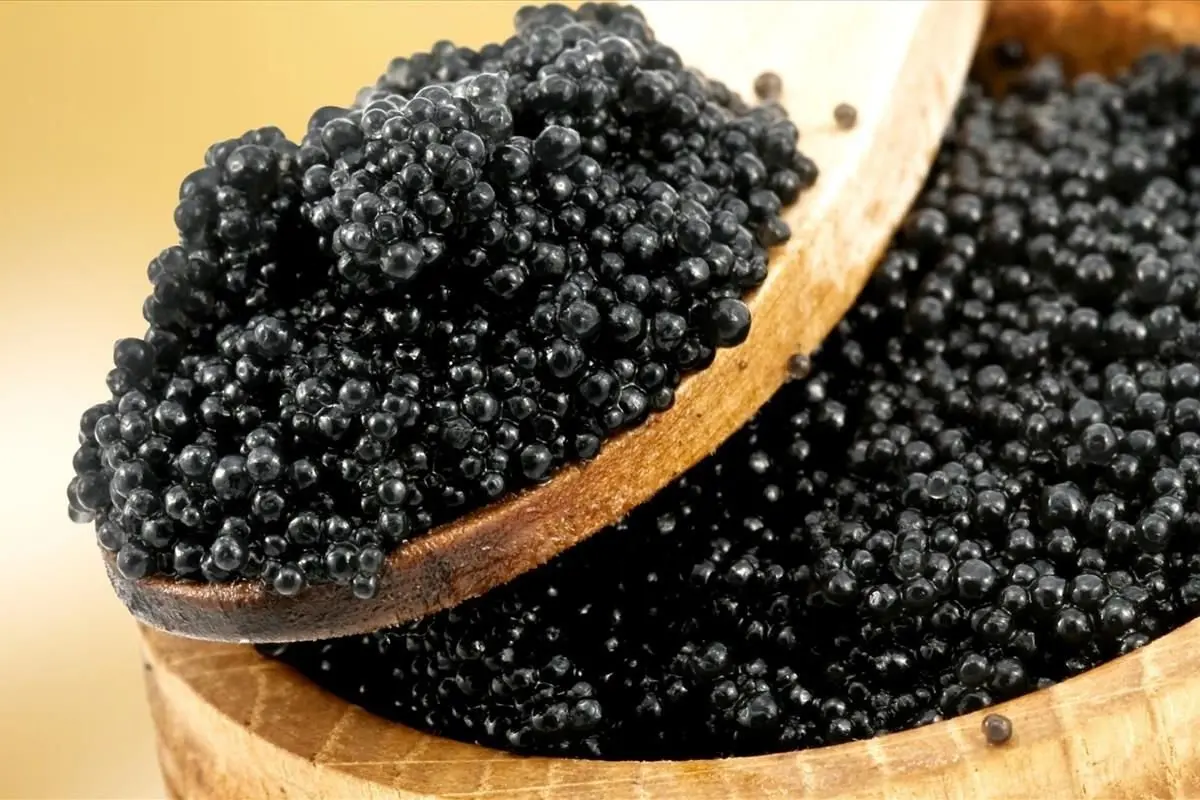 پای مروارید سیاه ایران به کانادا باز شد