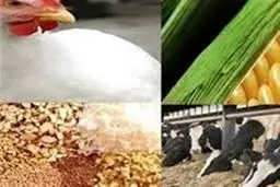 پشت پرده سهمیه دی نهاده‌ها: بازارگاه جولانگاه رانت‌خواران می‌شود؟