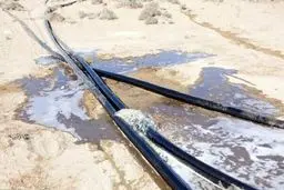 رسوایی بزرگ: روزانه ۴.۵ میلیون لیتر گنج مملکت دود می‌شود!