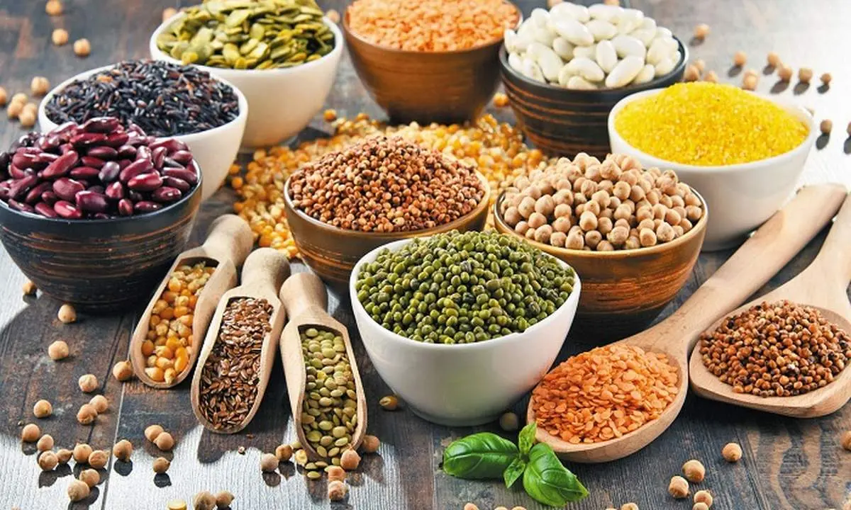 لوبیا چیتی ۱۰۰ درصد گران شد