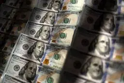 دلار در صرافی ملی منفجر شد! سقوط آزاد یا سکوی پرتاب؟ پیش‌بینی‌های داغ از بازار شنبه ۱۷ آبان ۱۴۰۴