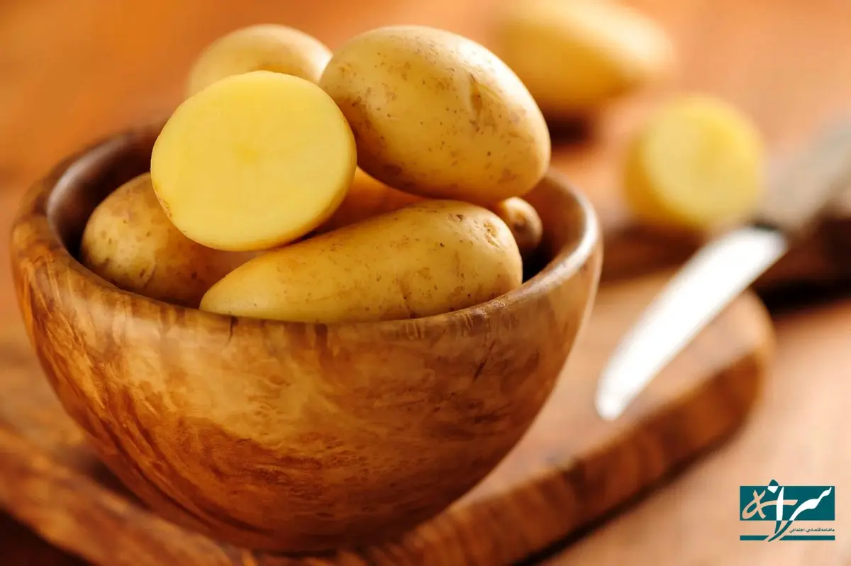 سیب زمینی واقعا ارزان شد؟