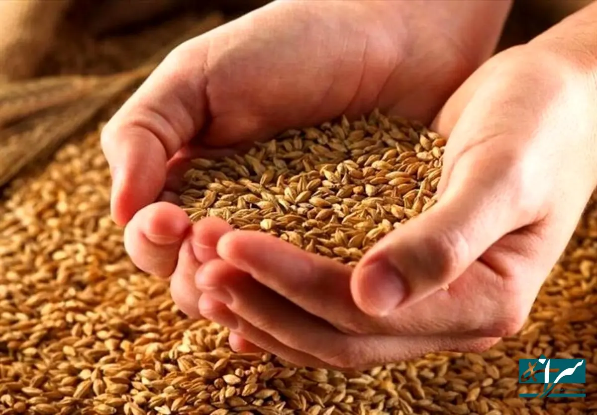 میزان ذخایر غلات در کشور