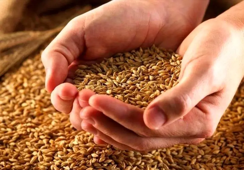 میزان ذخایر غلات در کشور