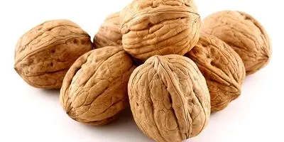 صادرات کیوی از امروز مجاز است