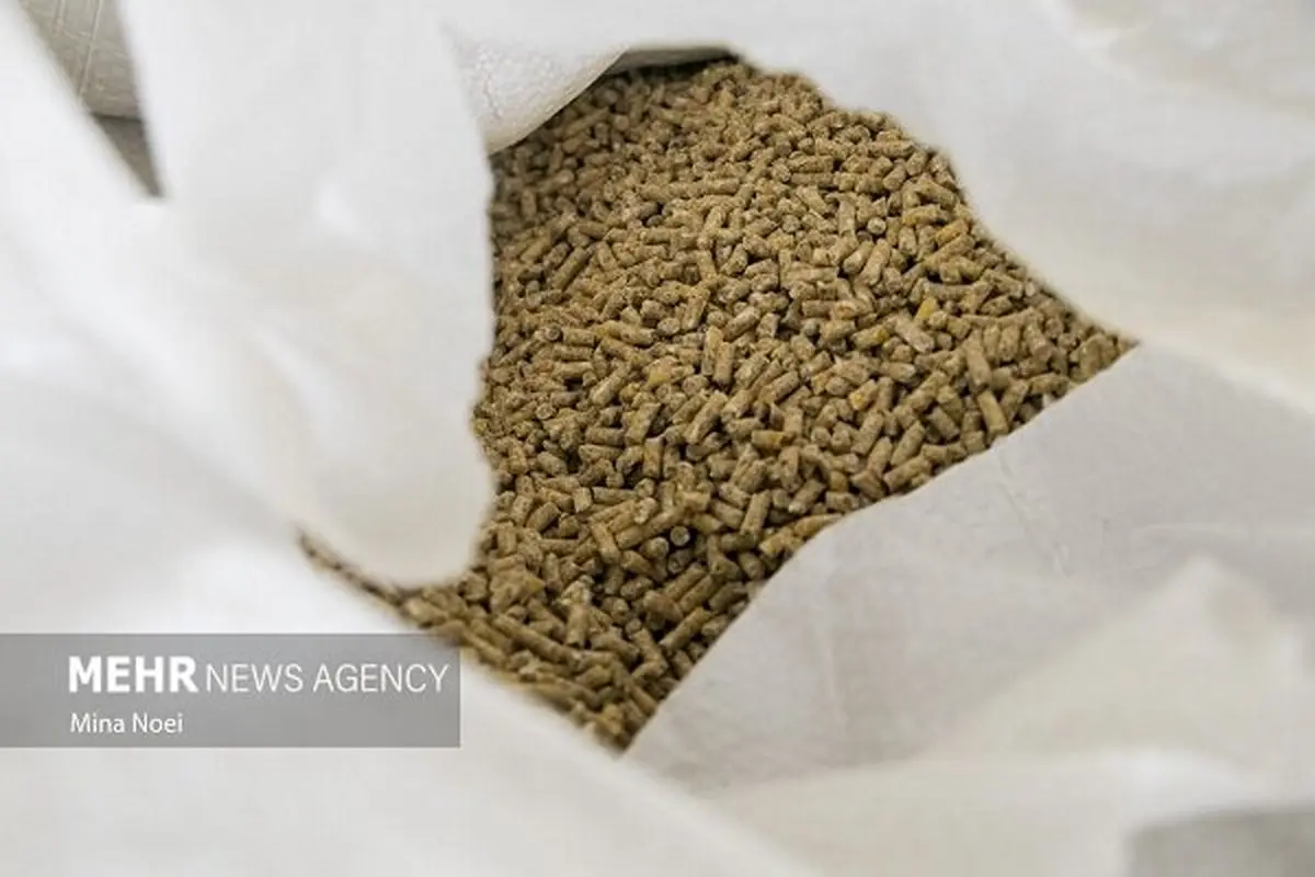 شوکه‌کننده: نهاده دامی در مبادی ورودی، اما چرا توزیع نمی‌شود؟