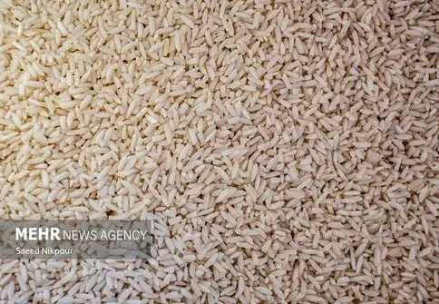 برنج خارجی بازار را منفجر کرد: مسئولان ادعا می‌کنند ساماندهی شده!