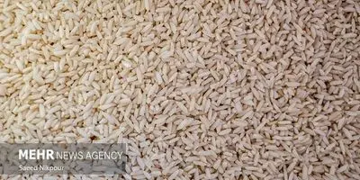 فاجعه در راه است! قیمت باورنکردنی برنج هندی و پاکستانی؛ سفره مردم خالی می‌شود؟