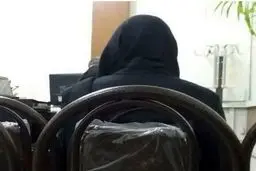 دستبرد زن سابقه دار به اموال دولتی