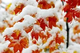 23 استان زیر برف و باران، 17 استان در وضعیت هشدار نارنجی: پیش‌بینی‌های آب و هوایی شوکه‌کننده برای زمستان 1404