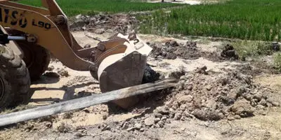 قانون جامع صنعت برق در راه است؟ پشت پرده سخنان مهم معاون وزیر نیرو 
