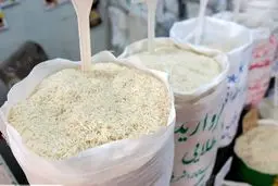 قیمت برنج از 150 هزار تومان سقوط می‌کند؟ وعده جنجالی تعزیرات: واردات قیمت را به 100 هزار تومان می‌رساند!