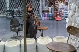 فاجعه در راه است: برنج خارجی با دلار ۱۶۰ هزار تومانی سفره‌ها را خالی می‌کند!