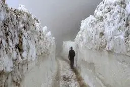 مفقود شدن ۱۴ نفر در برف و بوران