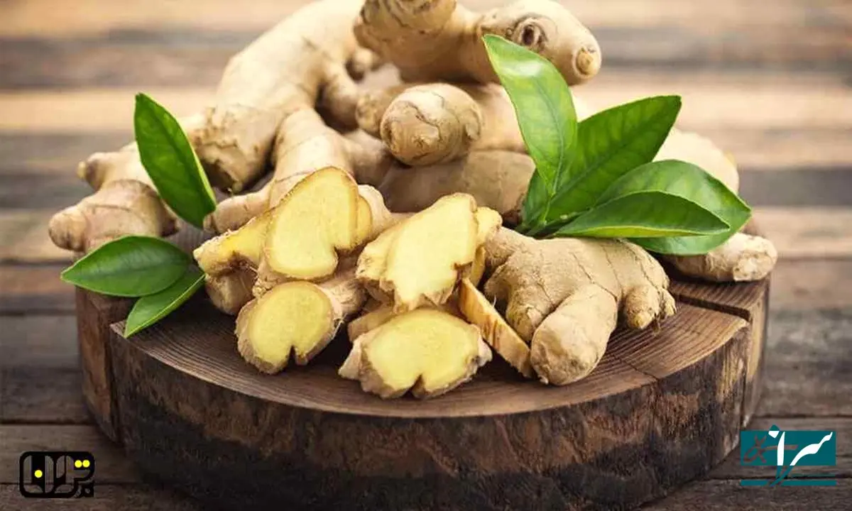 قیمت زنجبیل رکورد زد!