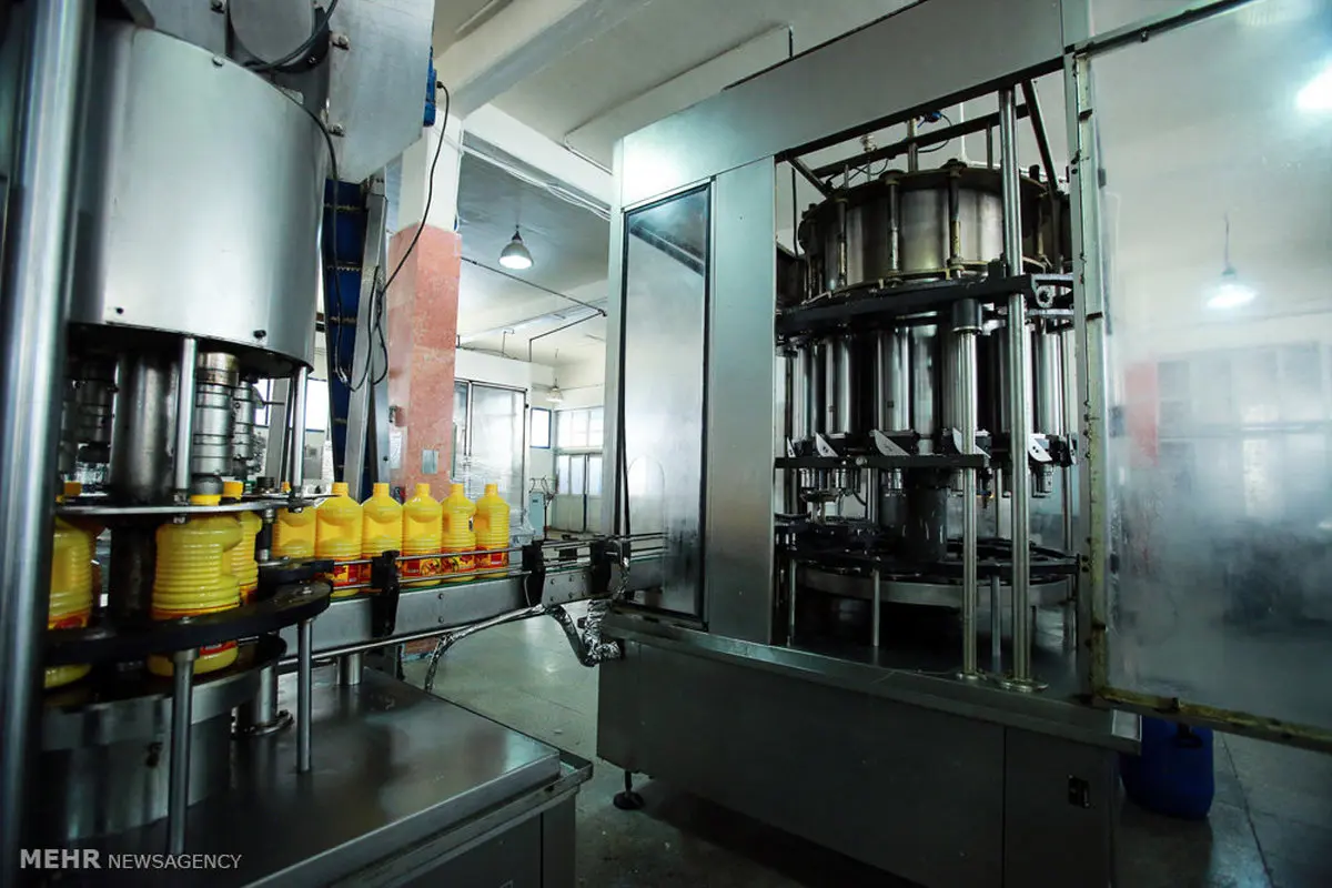 سقوط ۵۰ درصدی تولید روغن: زنگ خطر بحران به صدا درآمد!