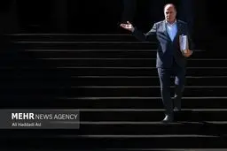 نوری قزلجه: تأمین ارز نهاده‌های دامی با مصوبه جنجالی سران قوا! 