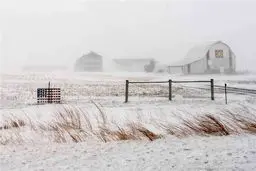 فروپاشی برلین: سرمای مرگبار، شهر را به هرج و مرج کشاند!
