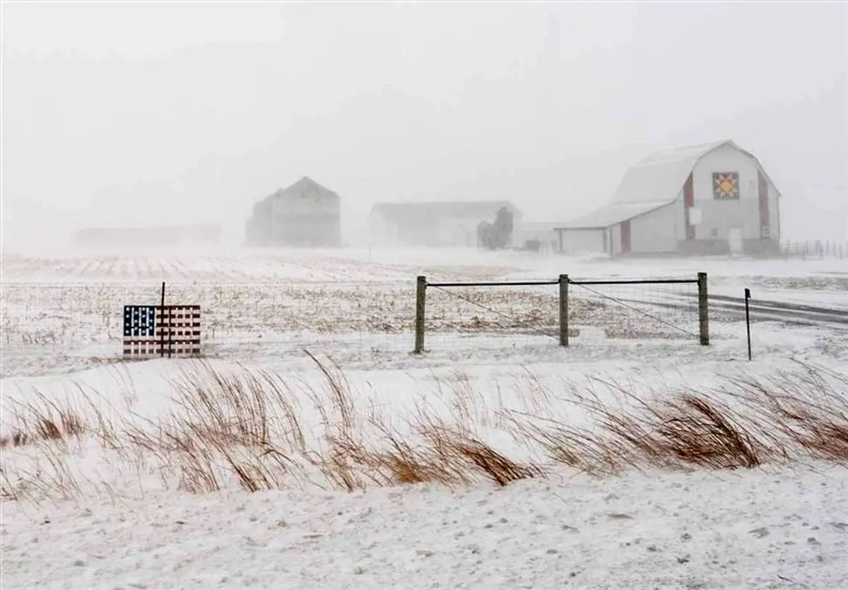 فروپاشی برلین: سرمای مرگبار، شهر را به هرج و مرج کشاند!